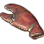 Pince de homard, exposition Icon icon