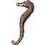 Hippocampe, exposition Icon icon