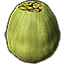 Grüne Kokosnuss, Dekor Icon icon