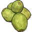 Tas de noix de coco vertes, exposition Icon icon