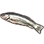 Poisson, truite argentée Icon icon