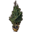 Furniture icon for Дерево в горшке (сосна Систреса)