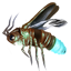 Sapphire Candlefly Gathering icon