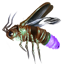 Amethystfliegenflimmern icon