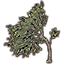Tree, Bent Blackwood Elm icon
