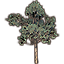 Tree, Branching Blackwood Pine icon