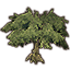 Baum, Sumpfschatten Icon