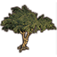 Baum, junger Sumpfschatten Icon