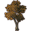 Tree, Large Yellow Beech Icon