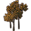 Tree, Small Yellow Beech Cluster Icon