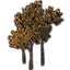 Furniture icon for Дерево (маленькие желтые буки скопление)