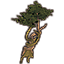 Árbol bosmeri, retorcido icon