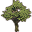 Tree, Braided Dawnwood Icon icon