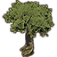 Baum, riesig, Dämmerholz-Blätterdach Icon icon