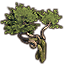 Tree, Giant Dawnwood Growth icon