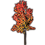 Sapling, Young Autumn Maple icon