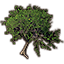 Tree, Giant Oak icon