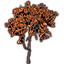 Sapling, Autumn Maple icon