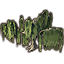 Tree, Healthy Willow icon
