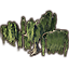 Tree, Healthy Willow icon