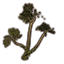 Tree, Forked Sturdy icon