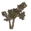 Саженцы (молодой лес) icon