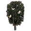 Buckthorn icon