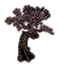 Baum, großer Narrenbaum icon