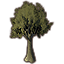 Baum, emporragende Korkeiche icon