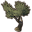 Tree, Strong Olive Icon icon