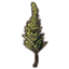 Дерево (болотный кипарис) icon