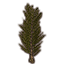Topiary, Lush Evergreen Icon