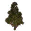 Tree, Mossy Summer Icon