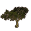 Tree, Gnarled Forest Icon
