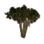 Bäume, moosige Trübmoor-Ansammlung icon