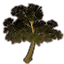 Baum, moosiger Ahorn icon