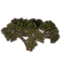 Saplings, Squat Desert Icon