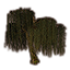 arbre, saule pleureur doux icon