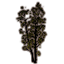 Trees, Poplar Cluster icon