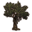 Witch's Tree, Captive icon