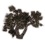 Bäume, Savannenansammlung Icon