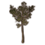 Саженец (высокий эшлендский) icon
