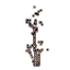 Sapling, Withered Thicket icon