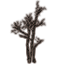 Setzlinge, verbrannt und groß Icon