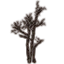 Saplings, Burnt Tall icon