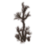 Saplings, Burnt Sparse icon