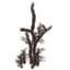 Arbusto quemado icon
