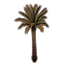 Sapling, Thin Palm Icon