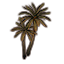 Trees, Paired Wax Palms Icon