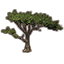 Baum, große Wüstenakazie Icon